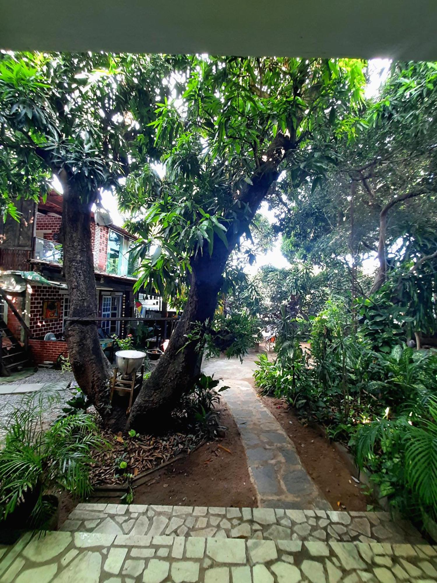 Casa De Temporada Das Mangueiras Olinda Extérieur photo